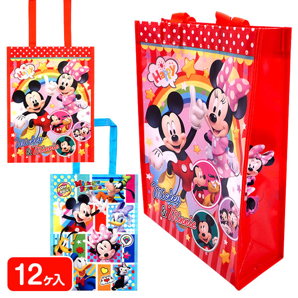 【値下】【WEB限定価格】ディズニー  縦型レッスンバッグ