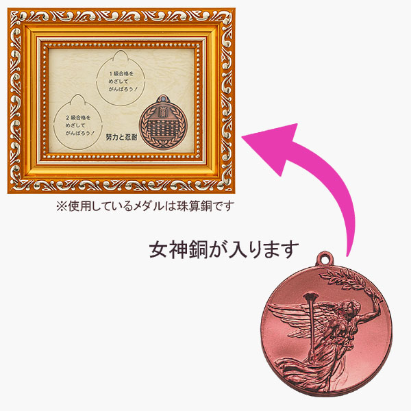 合格メダル（女神・銅）新・額入