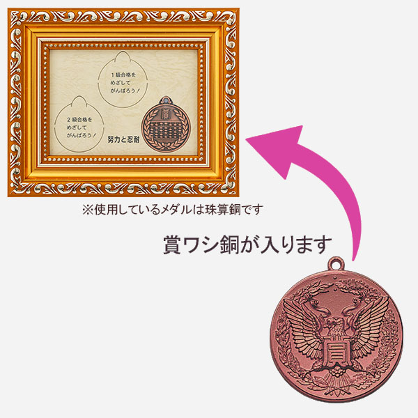 合格メダル（賞ワシ・銅）新・額入