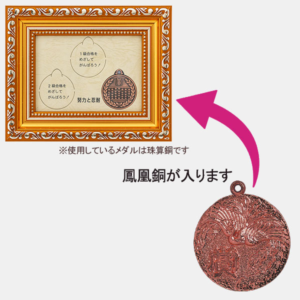合格メダル（鳳凰・銅）新・額入