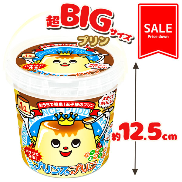 【値下：賞味期限2026/6/8】訳あり！プリンスプリン