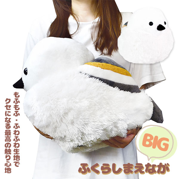 ふくらしまえながBIG