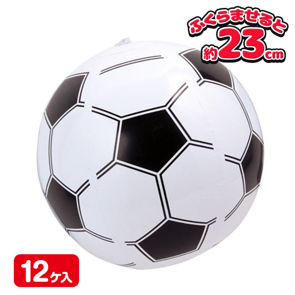 サッカービーチボール