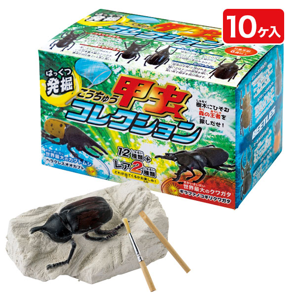 発掘甲虫コレクション