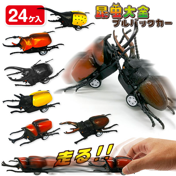 昆虫大全プルバックカー