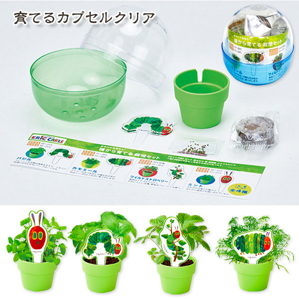 はらぺこあおむし  育てるカプセルクリア