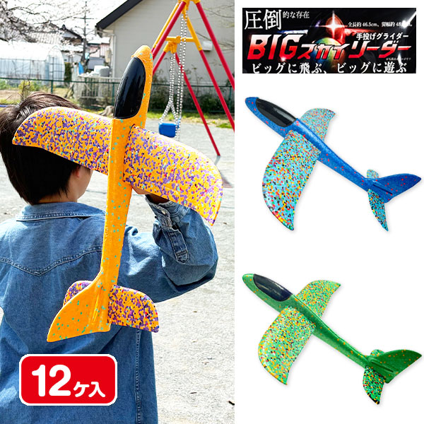 BIGスカイリーダー