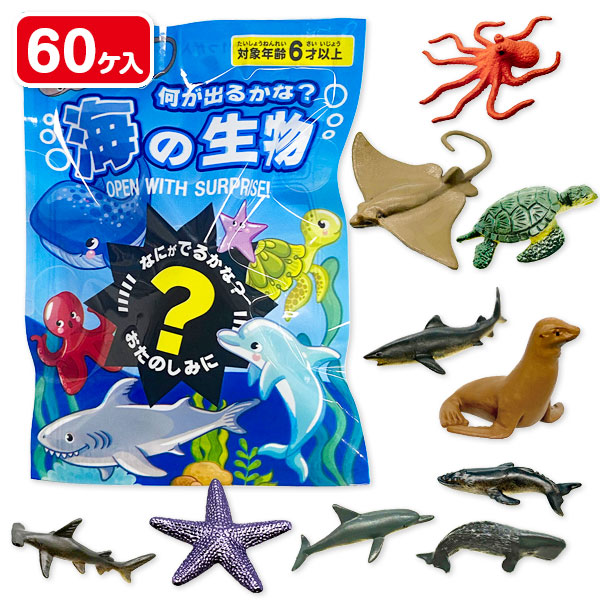 何が出るかな？海の生物