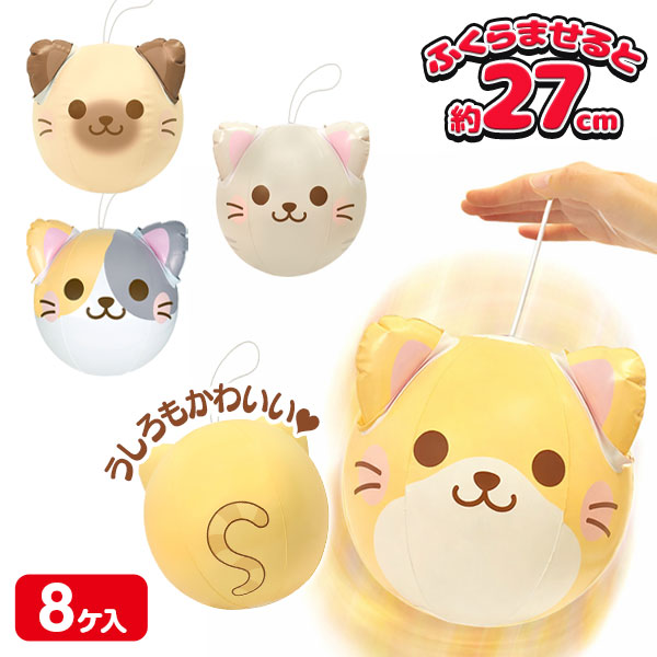 ぽんぽん！ネコちゃんビーチボール