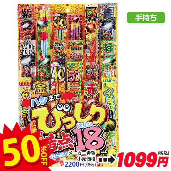 【配達時間指定不可】ハシまでびっしり満点はなび