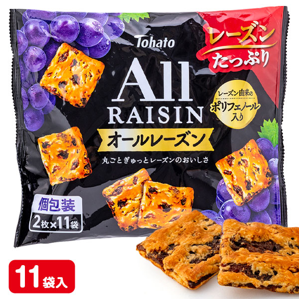 オールレーズン  ファミリーサイズ
