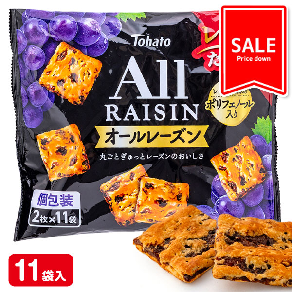 【値下：賞味期限2026/6/6】訳あり！オールレーズン  ファミリーサイズ