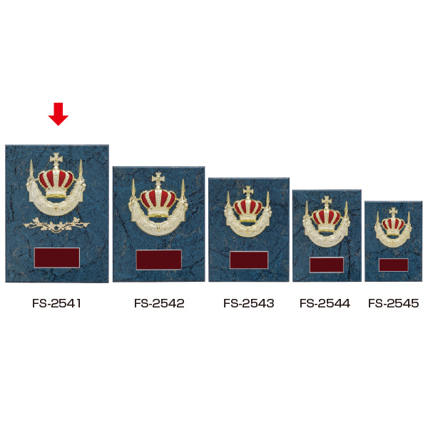 楯  ＦＳ-２５４１