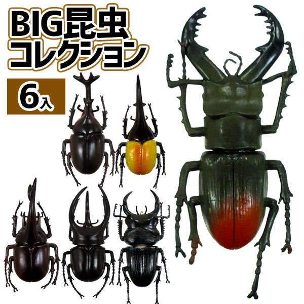 BIG昆虫コレクション